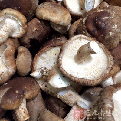 香菇有益气滋阴、养胃润肺、治风化痰的功效