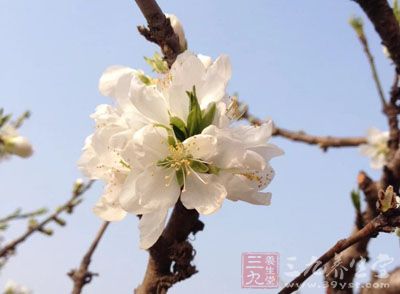 众多女性朋友都准备出动缤纷色彩的高跟鞋 众多女性朋友都准备出动缤纷色彩的高跟鞋