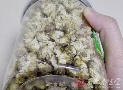 菊多年生草本，高50～140厘米，全体密被白色绒毛