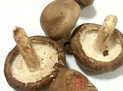蘑菇营养价值高 止咳化痰又抗癌