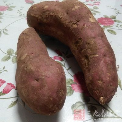 发芽的红薯虽不似马铃薯有毒，但口感较差