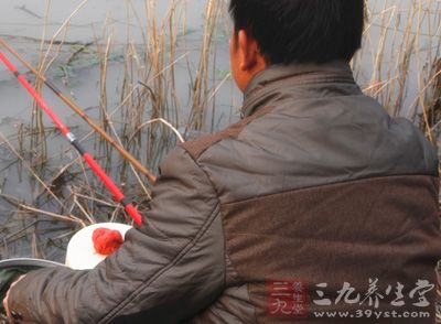 有草的地方是鱼儿觅食、戏水、交配、产卵、聚集栖息的场所