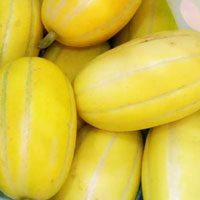 香瓜的功效与作用 多吃香瓜能保护肾脏
