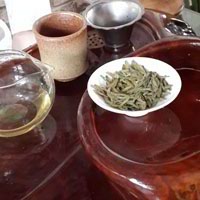 治療慢性氣管炎的藥茶方