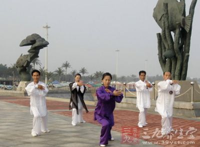 杨式太极拳是中国太极拳主要流派之一