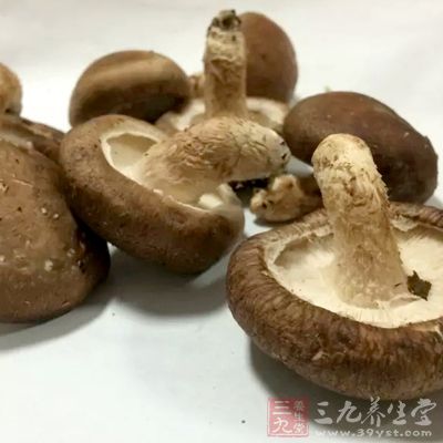 吃蘑菇可以促进白血球的产生和活动，让它们更具防范性