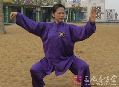 推手是杨式太极拳的训练方法和手段