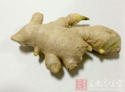 生姜数片放患处,用艾条灸之 生姜数片放患处,用艾条灸之