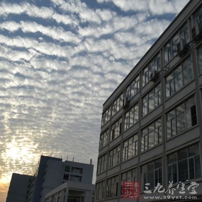 优点是安静、视野好,蚊虫、灰尘、噪音都不必担心 优点是安静、视野好,蚊虫、灰尘、噪音都不必担心