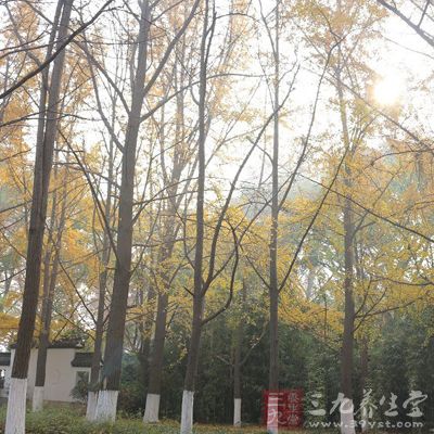 能保持空气的新鲜