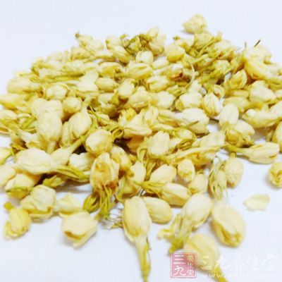 茉莉花香气清婉,馥郁宜人 茉莉花香气清婉,馥郁宜人