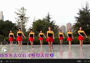 茉莉广场舞 情歌风舞蹈泥人情歌教学