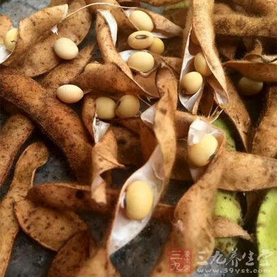 不管你用扁豆、大豆或其他什么豆类做菜或汤 不管你用扁豆、大豆或其他什么豆类做菜或汤