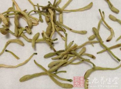 金銀花所含綠原酸的生物活性，能促進(jìn)人體新陳代謝、調(diào)節(jié)人體功能、提高免疫力