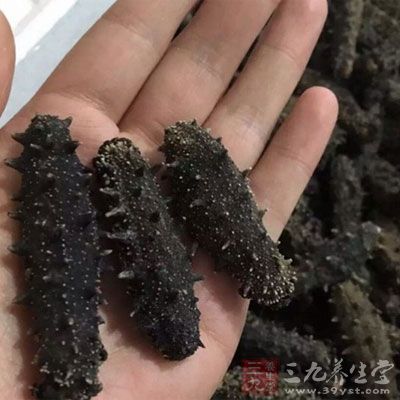 海參1碗、黃芪3錢(qián)、新鮮山藥半碗