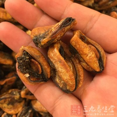 淡菜不仅仅好吃同时还含有极为丰富的蛋白质