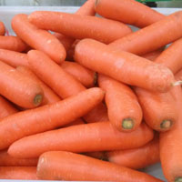 红萝卜的营养价值 吃红萝卜促进人体发育