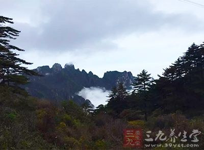 黄山旅游攻略 春天爬山健康又快乐