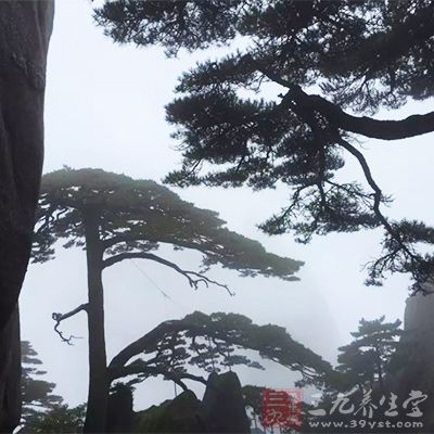 时间充裕的话，还能将黄山附近的翡翠谷等景点游览到