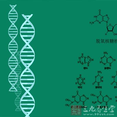 如果染色体异常的话也会导致胚胎不发育而致早期流产