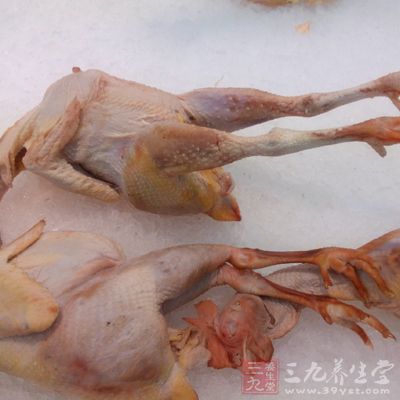 肉类食物的品种有很多 肉类食物的品种有很多