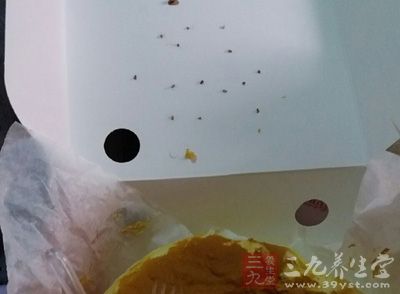 蛋糕盒子上爬满虫子 蛋糕盒子上爬满虫子