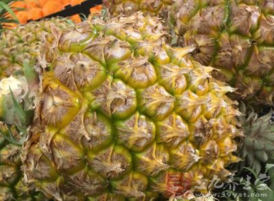 菠萝和凤梨的区别 菠萝凤梨是同一水果吗