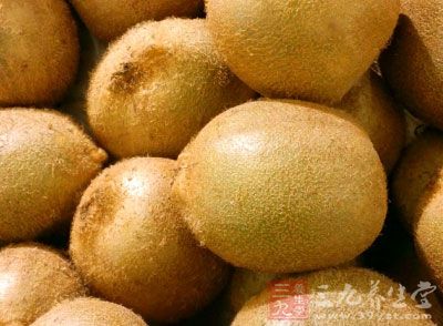 獼猴桃根是每個(gè)季節(jié)都可以采收的