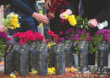 华西村人均收入_人均占地(3)