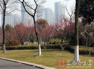 万物复苏的春季已到，随着天气越来越暖