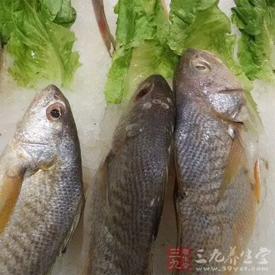 生姜放于鲈鱼腹中，是较为不错的饮食