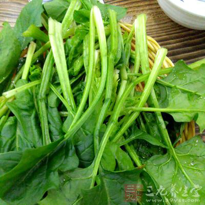 这是很有名的常见补血蔬菜,菠菜内含有丰富的铁质胡萝卜素 这是很有名的常见补血蔬菜,菠菜内含有丰富的铁质胡萝卜素