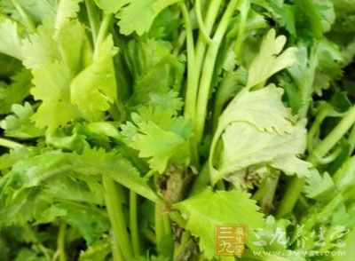 香菜根具有促進(jìn)血液循環(huán)的作用