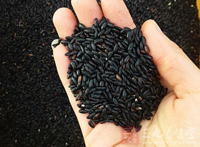黑米:米中珍品“黑珍珠” 黑米:米中珍品“黑珍珠”
