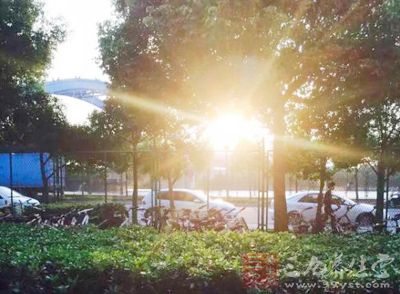 早上5-7点:大肠排毒时间 早上5-7点:大肠排毒时间