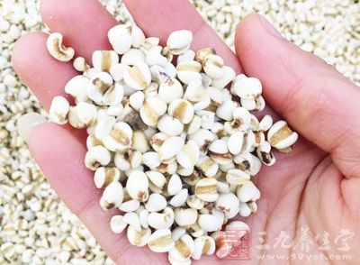 薏米的功效与作用 常吃这物养颜黑发防癌
