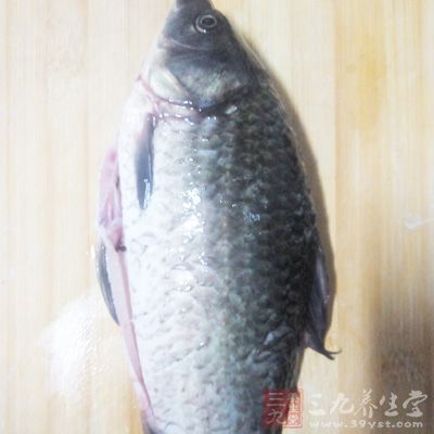 準備鯽魚1條(約400克)