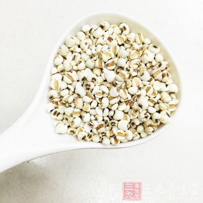 准备同等分量的红豆和薏米