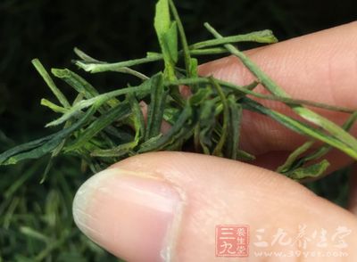 绿茶的冲泡方法 冲泡绿茶需要了解三要素