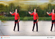 刘荣广场舞 情歌风舞蹈不怕错教学视频