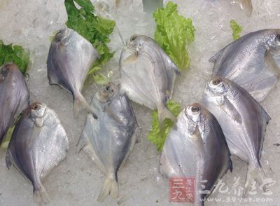 鲳鱼体近菱形,扁侧,口小,背部青灰色 鲳鱼体近菱形,扁侧,口小,背部青灰色