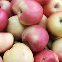 吃苹果能减肥 苹果减肥的正确方法是什么