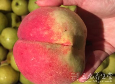 桃以其果形美观，肉质甜美被称为&ldquo;天下第一果&rdquo;