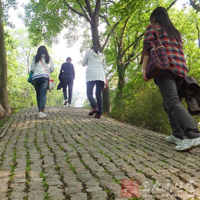 天气转暖后，可趁着和风煦日，去郊外踏青