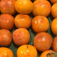 柿子的营养价值 吃柿子能预防心血管硬化