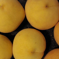 黄桃的营养价值 吃黄桃能降血脂还能祛斑