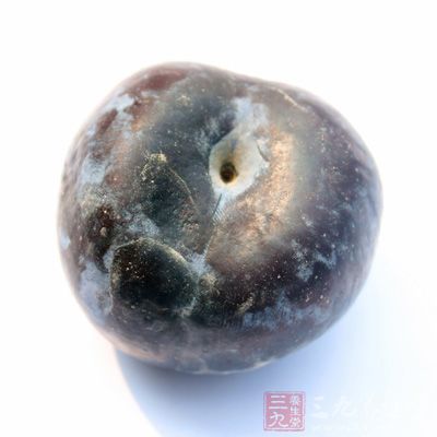 黑布林的果實(shí)含有豐富的糖