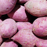 紫薯的营养价值 吃紫薯能宽肠通便能抗癌