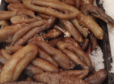 海参的家常做法 6种吃法美味又营养