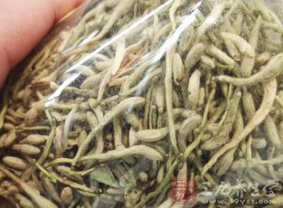 金银花的药用功效